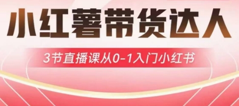 小红薯达人带货启航计划，3节直播课从0-1入门小红书-仙女副业网