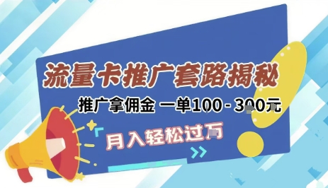 2025年外面卖1500的流量卡项目最新玩法，绿色无门槛对新手非常友好，日入3张+-仙女副业网