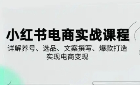 小红书从0-1实操课(2023-2025)，详解养号、选品、文案撰写、爆款打造实现电商变现-仙女副业网