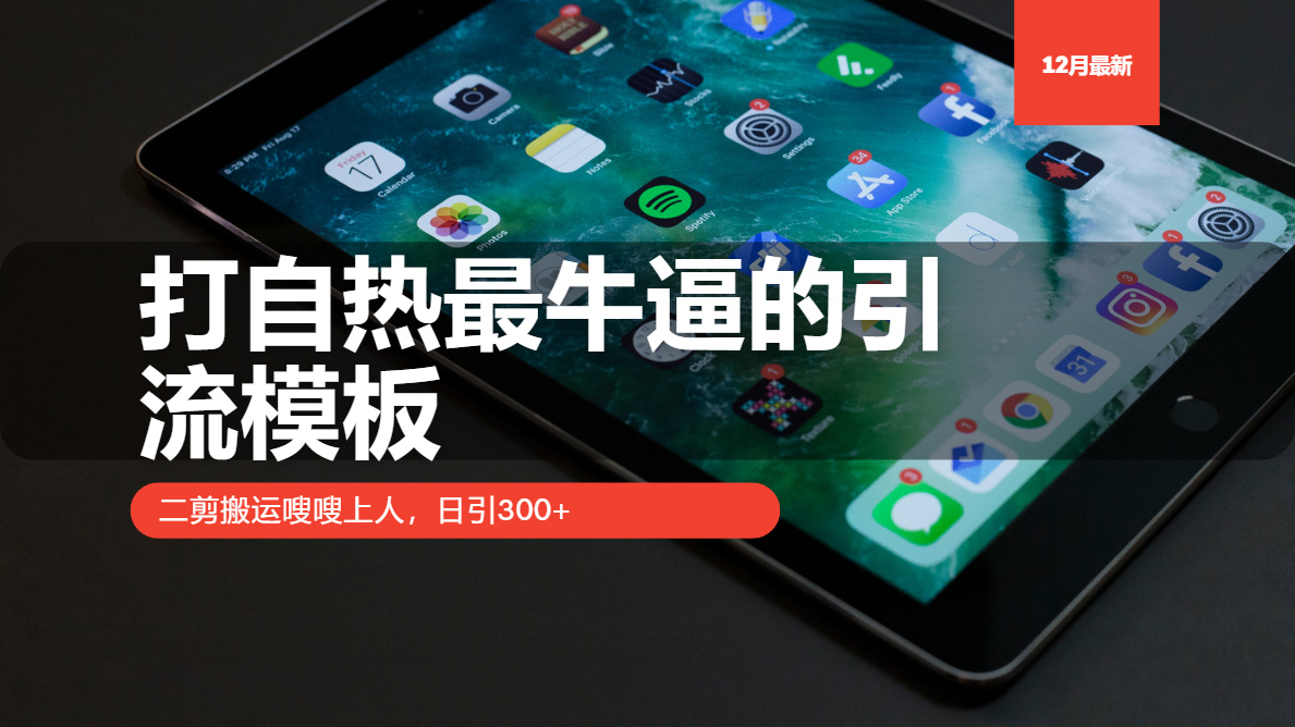 打自热最牛逼的引流模板，二剪搬运嗖嗖上人，日引300+-仙女副业网