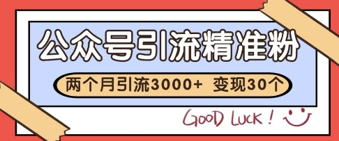 公众号精准粉引流玩法，2个月3000+精准粉，变现30个W【揭秘】-仙女副业网
