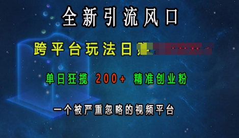 全新引流风口，跨平台玩法日入上k，单日狂揽200+精准创业粉，一个被严重忽略的视频平台-仙女副业网
