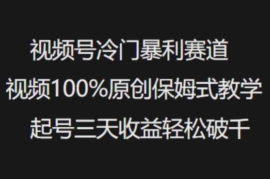 视频号冷门暴利赛道视频100%原创保姆式教学起号三天收益轻松破千-仙女副业网