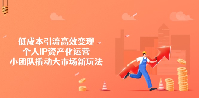 低成本引流高效变现，个人IP资产化运营，小团队撬动大市场新玩法-仙女副业网