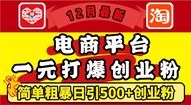 12月最新：电商平台1元打爆创业粉，简单粗暴日引500+精准创业粉，轻松月入过W【揭秘】-仙女副业网
