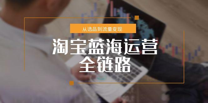淘宝蓝海运营全链路，从选品到流量变现，小类目突围完整方案-仙女副业网