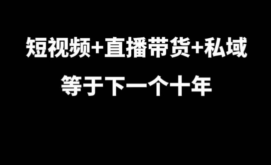 短视频+直播带货+私域等于下一个十年，大佬7年实战经验总结-仙女副业网