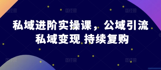 私域进阶实操课，公域引流 私域变现 持续复购-仙女副业网