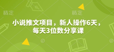 小说推文项目，新人操作6天，每天3位数分享课-仙女副业网