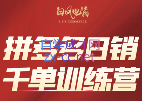白凤电商·拼多多日销千单训练营(更新5月)-仙女副业网