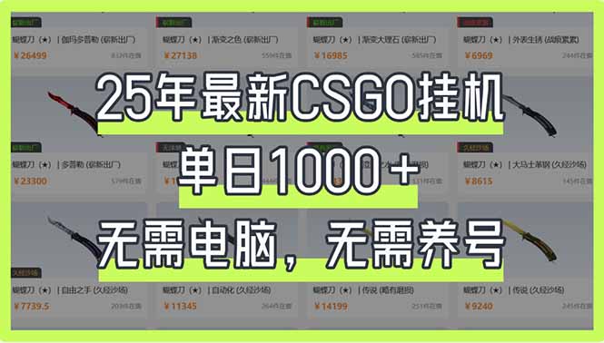 25年最新CSGO挂机系统，单日1000+，无需电脑，无需养号，0基础可上手-仙女副业网