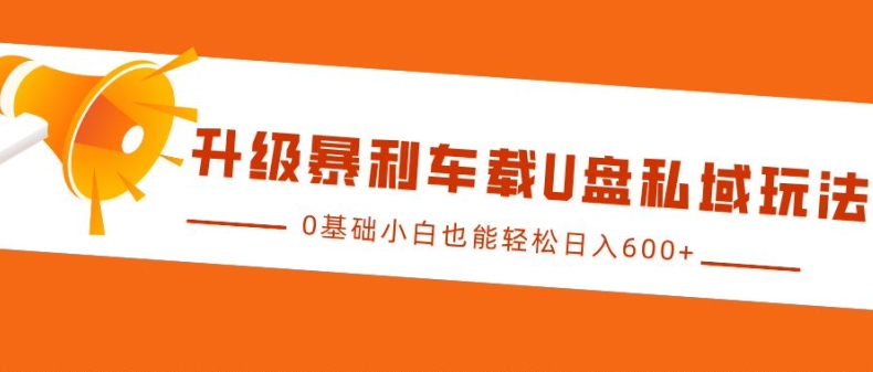 升级暴利车载U盘私域玩法，0基础小白也能轻松日入多张【揭秘】-仙女副业网