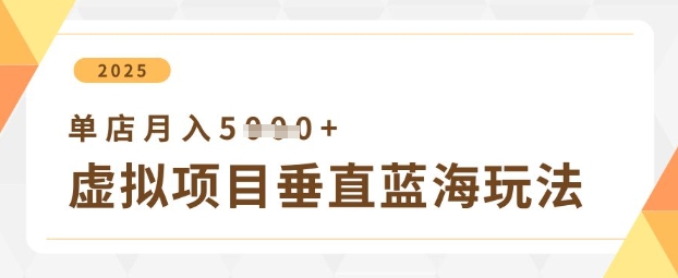虚拟项目垂直玩法，实现单店月入5k+-仙女副业网