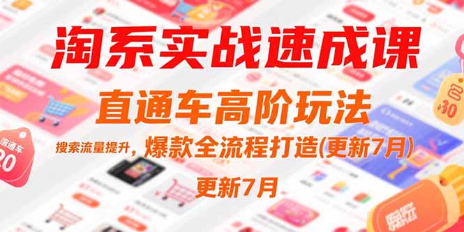淘系实战速成课，直通车高阶玩法，搜索流量提升，爆款全流程打造(更新7月-仙女副业网