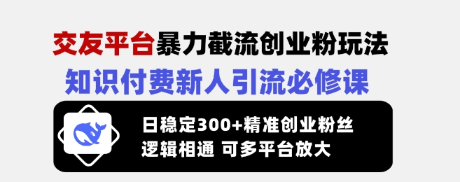 交友平台暴力截流创业粉玩法，知识付费新人引流必修课，日稳定300+精准创业粉丝，逻辑相通可多平台放大-仙女副业网