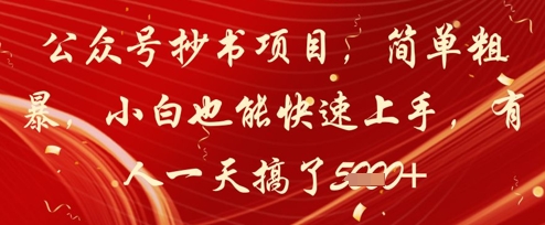 公众号抄书项目，简单粗暴，小白也能快速上手，有人一天搞了1k+-仙女副业网