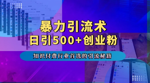 暴力引流术，专业知识付费行业首选的引流秘籍，一天暴流500+创业粉，五个手机流量接不完!-仙女副业网