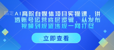 AI高阶自媒体项目实操课，讲透账号运营底层逻辑，从发布视频到规避违规一网打尽-仙女副业网