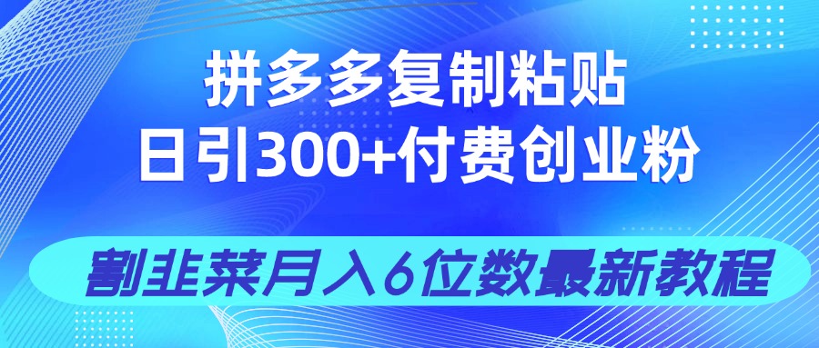 拼多多复制粘贴日引300+付费创业粉，割韭菜月入6位数最新教程！-仙女副业网