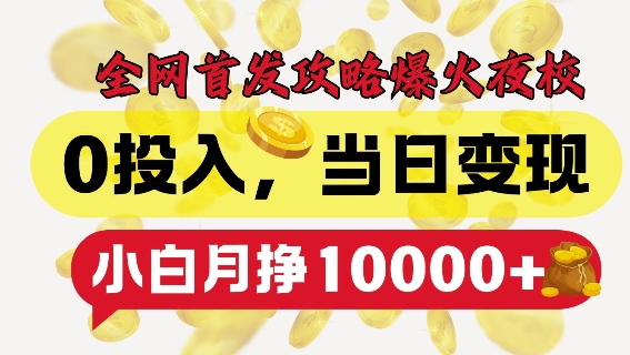 全网首发爆火夜校，0投入，当日变现，小白轻松月入1w+【揭秘】-仙女副业网