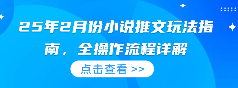25年2月份小说推文玩法指南，全操作流程详解-仙女副业网