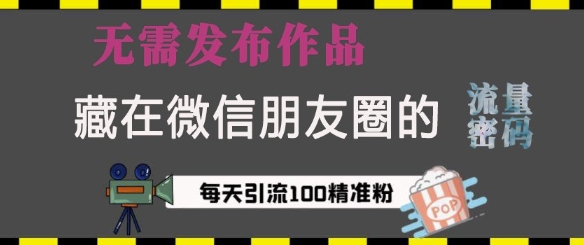 藏在微信朋友圈的流量密码，无需发布作品，单日引流100+精准创业粉【揭秘】-仙女副业网