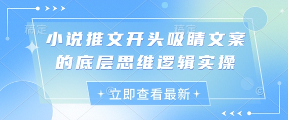 小说推文开头吸睛文案的底层思维逻辑实操-仙女副业网