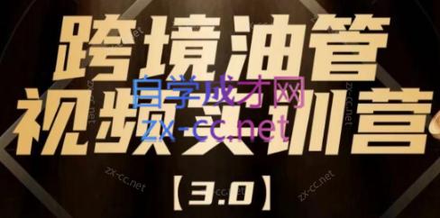 阿蔺Leo·跨境油管视频YouTube实训营(更新2025)-仙女副业网