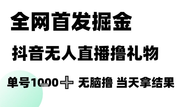 全网首发掘金抖音无人直播撸礼物，单号1k +无脑撸，当天拿结果【揭秘】-仙女副业网