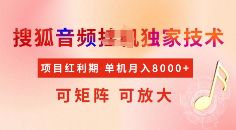 全网首发搜狐音频挂JI独家技术，项目红利期，可矩阵可放大，稳定月入8k【揭秘】-仙女副业网