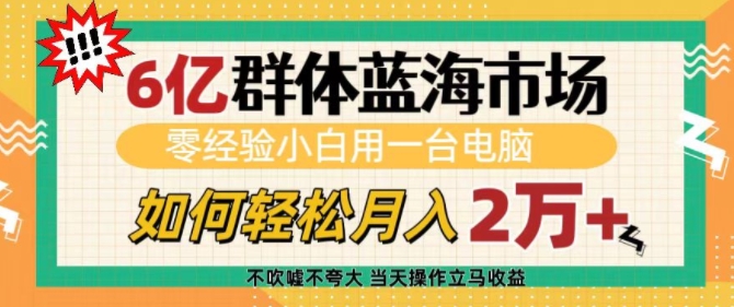 6亿群体蓝海市场，零经验小白用一台电脑，如何轻松月入过w【揭秘】-仙女副业网