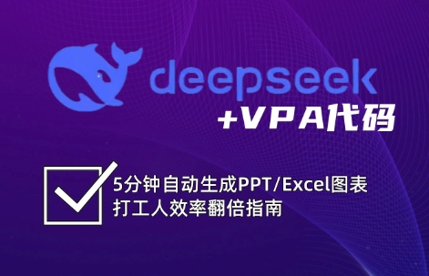 DeepSeek从入门到精通：解锁Excel和VBA高效办公新技能-仙女副业网