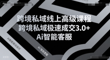 跨境私域线上高级课程，跨境私域极速成交3.0+Ai智能客服-仙女副业网
