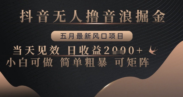 抖音无人撸音浪掘金，五月最新风口项目，当天见效，日收益多张，小白可做简单粗暴可矩阵【揭秘】-仙女副业网