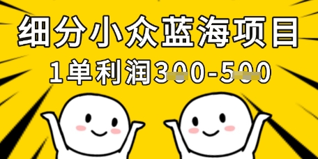 细分小众蓝海项目，一单利润3张，每月收入稳定过1w+-仙女副业网