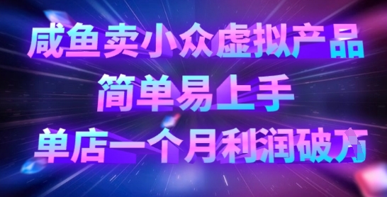 咸鱼卖小众虚拟产品，简单易上手，单店一个月利润破W-仙女副业网
