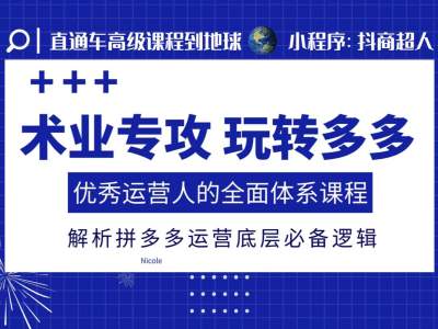 术业专攻玩转多多，优秀运营人的全面体系课程，解析拼多多运营底层必备逻辑-仙女副业网