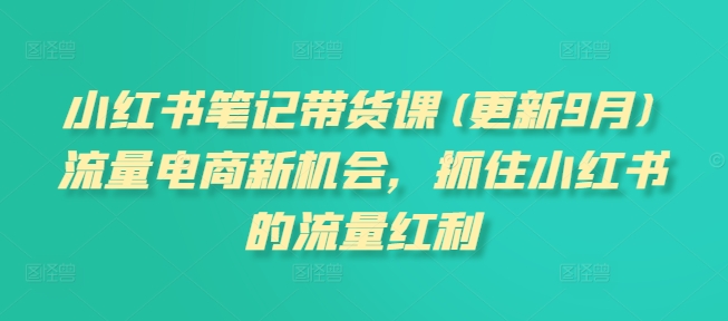 小红书笔记带货课(更新25年4月)流量电商新机会，抓住小红书的流量红利-仙女副业网