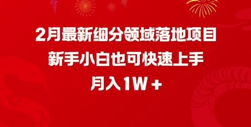 2月最新细分领域落地项目，新手小白也可快速上手，月入1W-仙女副业网