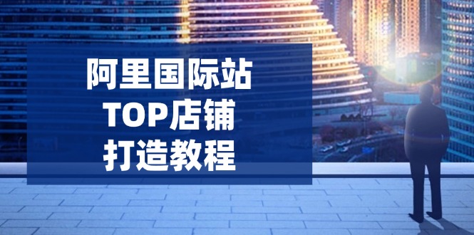阿里国际站TOP店铺打造教程：涵盖平台到高阶，解决运营难题，提升询盘-仙女副业网
