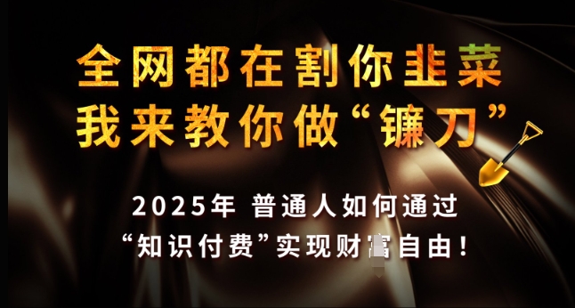全网都在割你韭菜，我来教你做镰刀，2025年普通人如何通过 知识付费 实现财F自由【揭秘】-仙女副业网