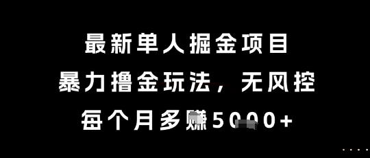 最新单人掘金项目，暴力撸金玩法，无风控，每个月多挣5k+【揭秘】-仙女副业网
