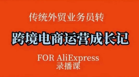 跨境电商速卖通运营课，​运营方法论+后台实操，逻辑清晰-仙女副业网