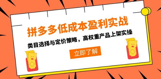 拼多多低成本盈利实战，类目选择与定价策略，高权重产品上架实操-仙女副业网