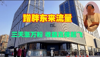 蹭胖东来流量，三天涨万粉，收益直接起飞-仙女副业网