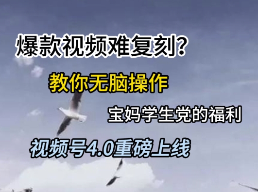 视频号4.0重磅上线，爆款视频难复刻？教你无脑操作宝妈学生党的福利【揭秘】-仙女副业网