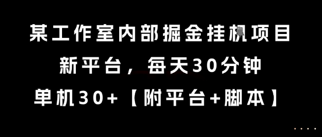 某工作室内部掘金挂G项目，新平台，每天30分钟，单机30+【揭秘】-仙女副业网