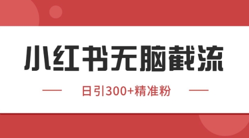 小红书只要你有同行就能获客，独家野路子获客玩法，暴力截流【揭秘】-仙女副业网