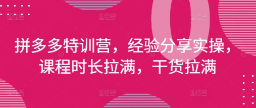 拼多多特训营，经验分享实操，课程时长拉满，干货拉满(更新25年4月)-仙女副业网