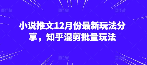 小说推文12月份最新玩法分享，知乎混剪批量玩法-仙女副业网